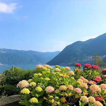 Ortensia Villa Laglio